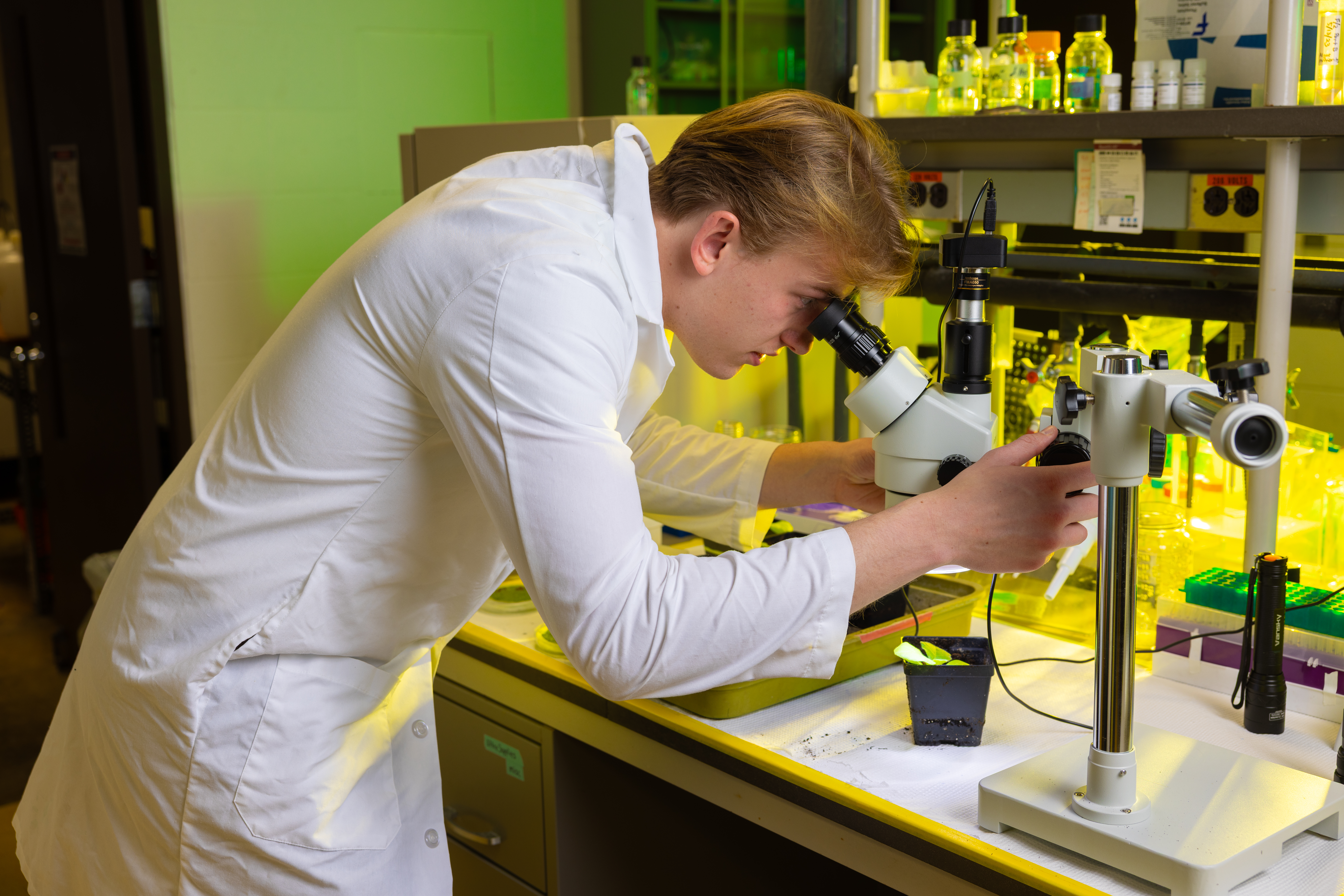 Student conducting research in the Dorsheimer Laboratory and Greenhouse
